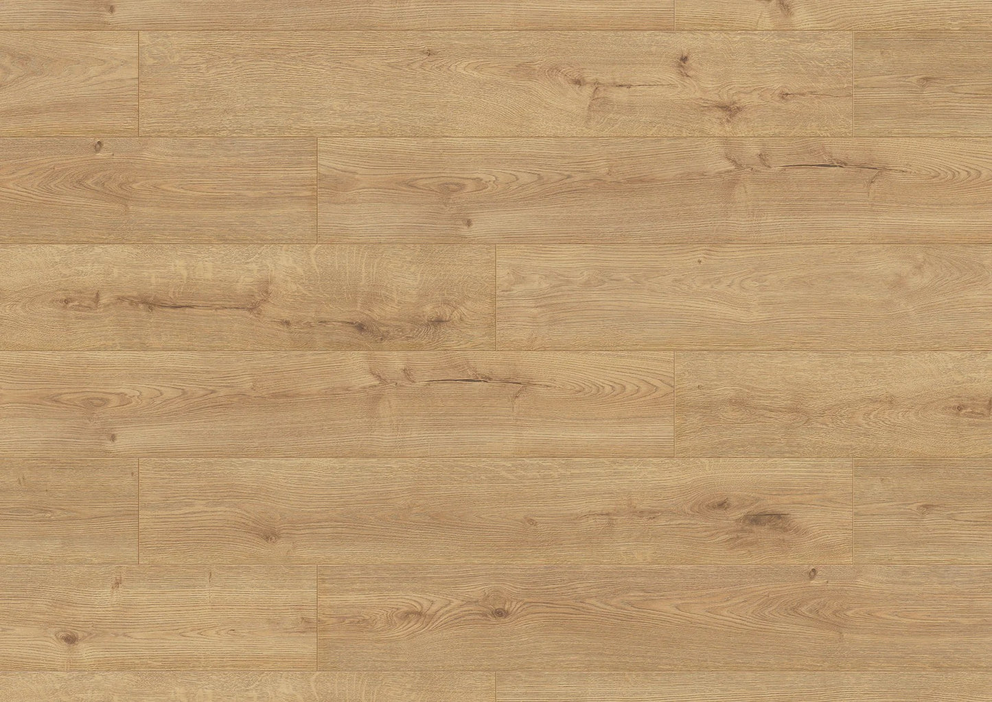 Sundance Oak Long & Wide Board
