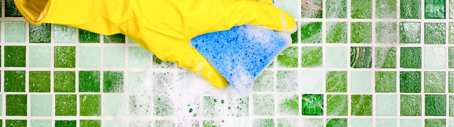 Cleaning & Maintenance