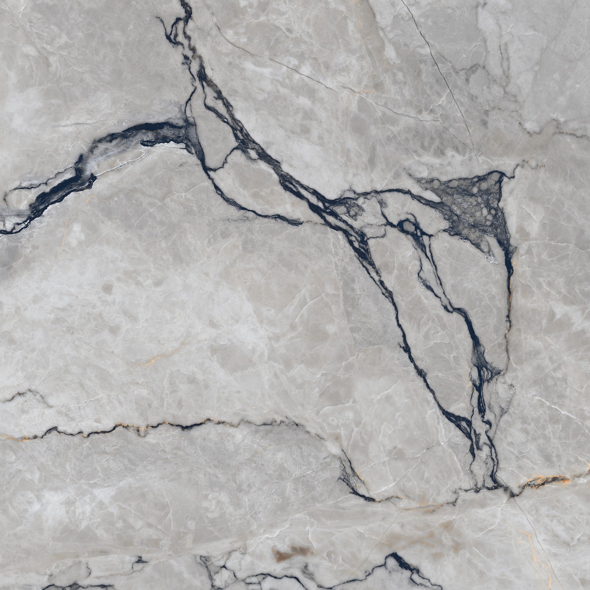 Marmo Silvestre Grey 60x60