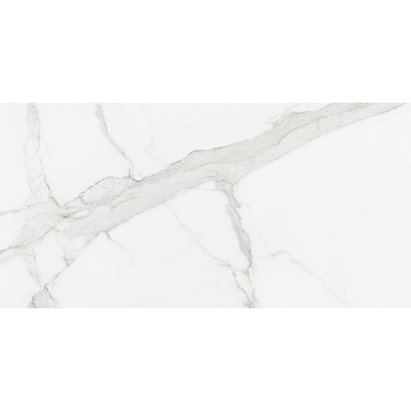 Statuario Matt 30x60